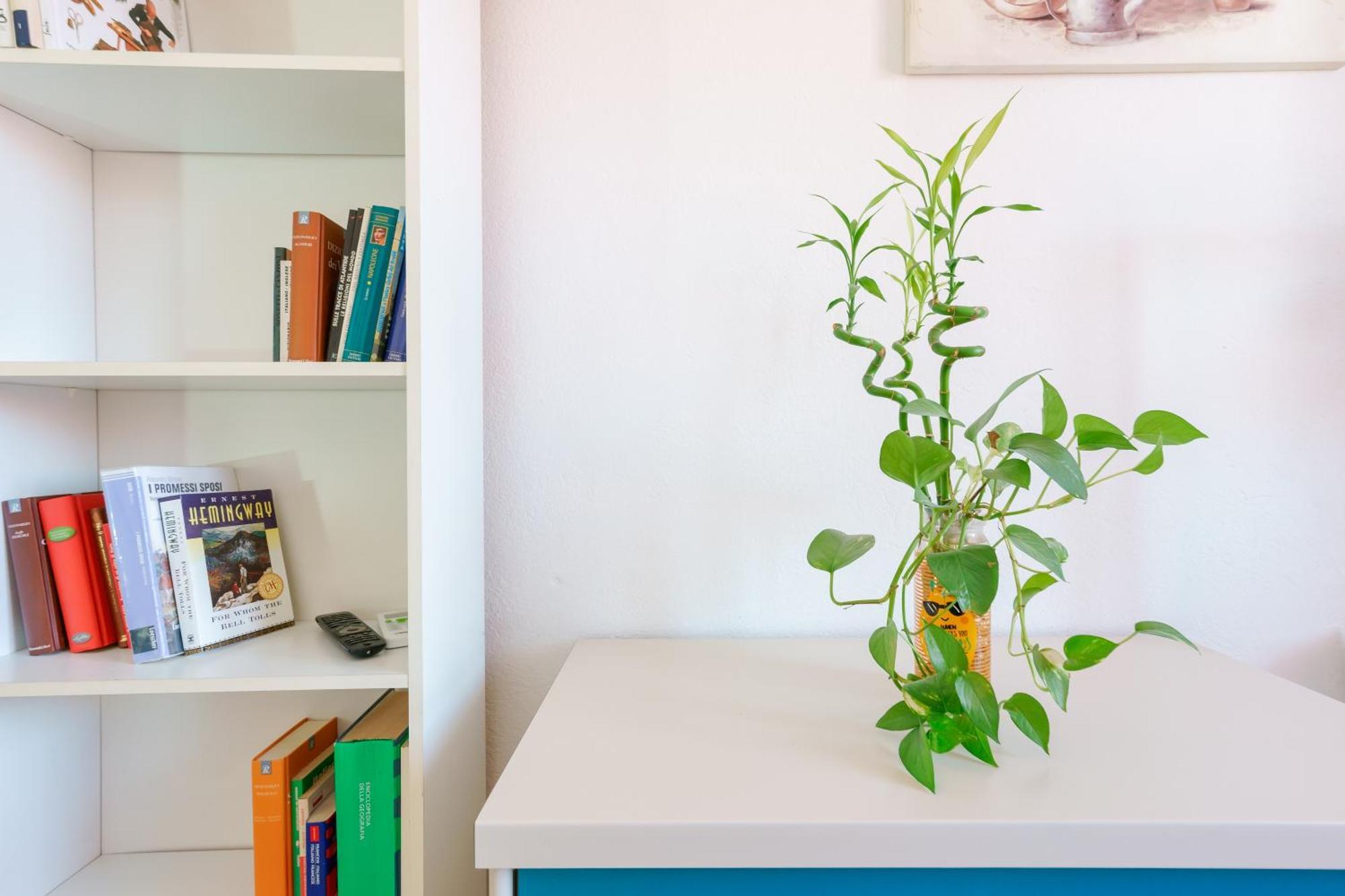 B&B Pothos - Eng Ita - Air Conditioning Wi-Fi Fridge Netflix Local Guide - Aria Condizionata, Frigo, Internet, Guida Locale 卡利亚里 外观 照片